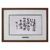 caa-0018