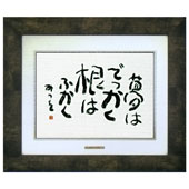 caa-0028